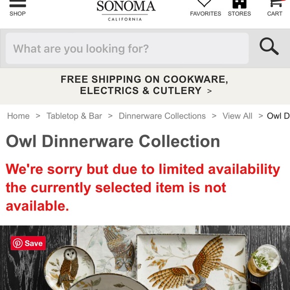Williams Sonoma Vividly Colored Set of Four Owl Dipping Bowls 🦉 - Picture 16 of 17